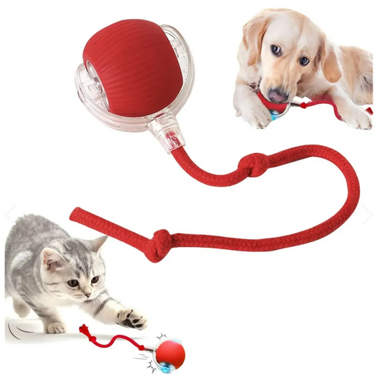 Pelota Interactiva Con Cuerda - SpinTail